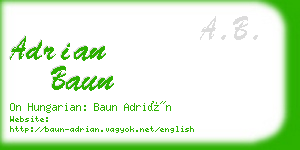 adrian baun business card